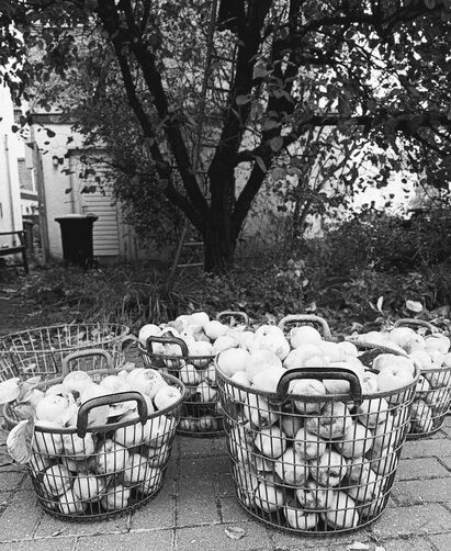 IMG_20251011_125417923_2